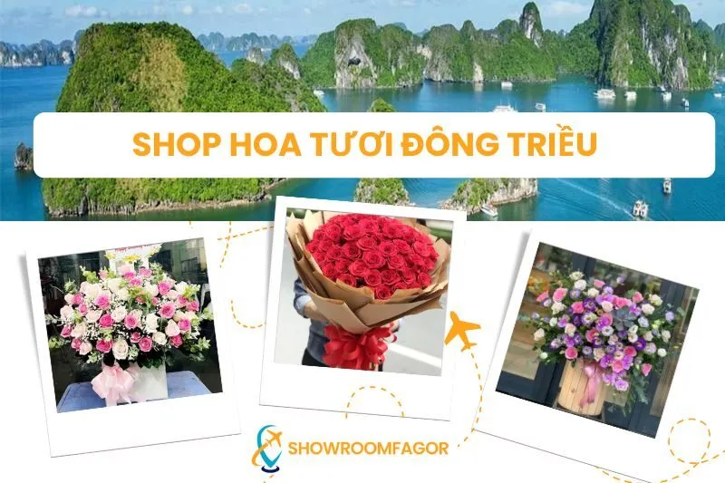 Shop Hoa Tươi Đông Triều