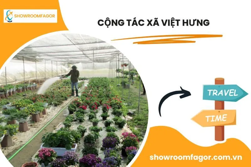 Cộng tác Xã Việt Hưng