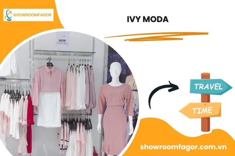 IVY moda