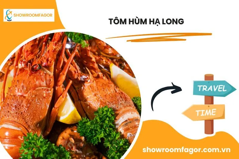 Tôm Hùm Hạ Long